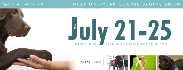 Next Intensive Training Course begins July 21, 2014!
