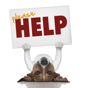 please-help
