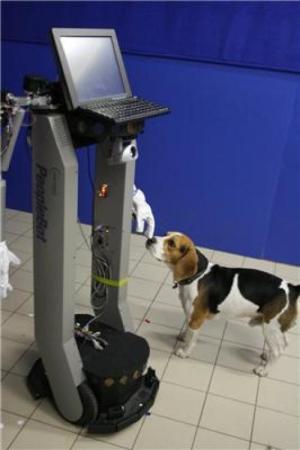 “Dogs’ behavior could help design social robots” according to Science Daily