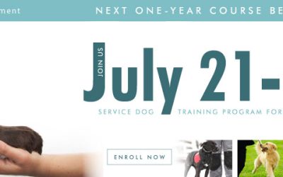 Next Intensive Training Course begins July 21, 2014!